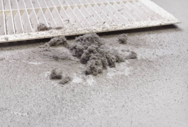 Best Air Vent Cleaning Services  in Wetumpka, AL