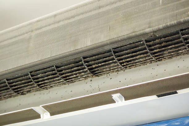 Best Professional Duct Cleaning Services  in Wetumpka, AL